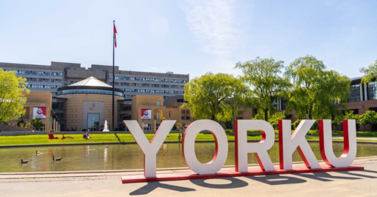 York-University